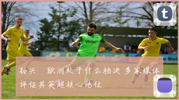 孙兴慜欧洲处于什么档次 多家媒体评估其英超核心地位